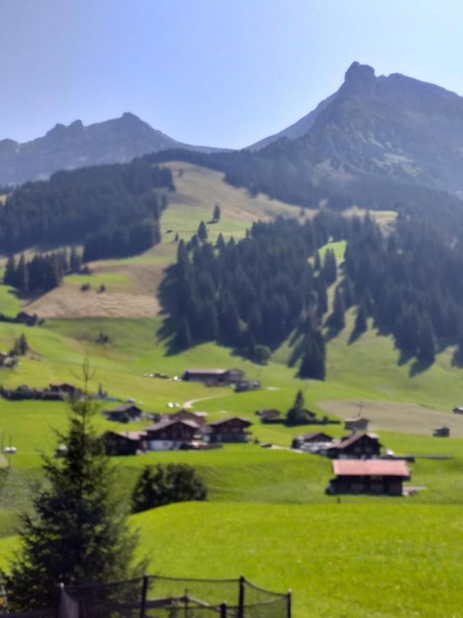 Chalet Aloa Apartment Adelboden Luaran gambar