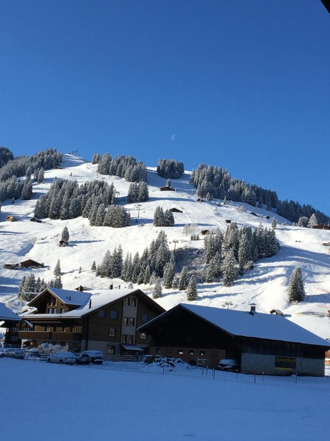 Chalet Aloa Apartment Adelboden Luaran gambar