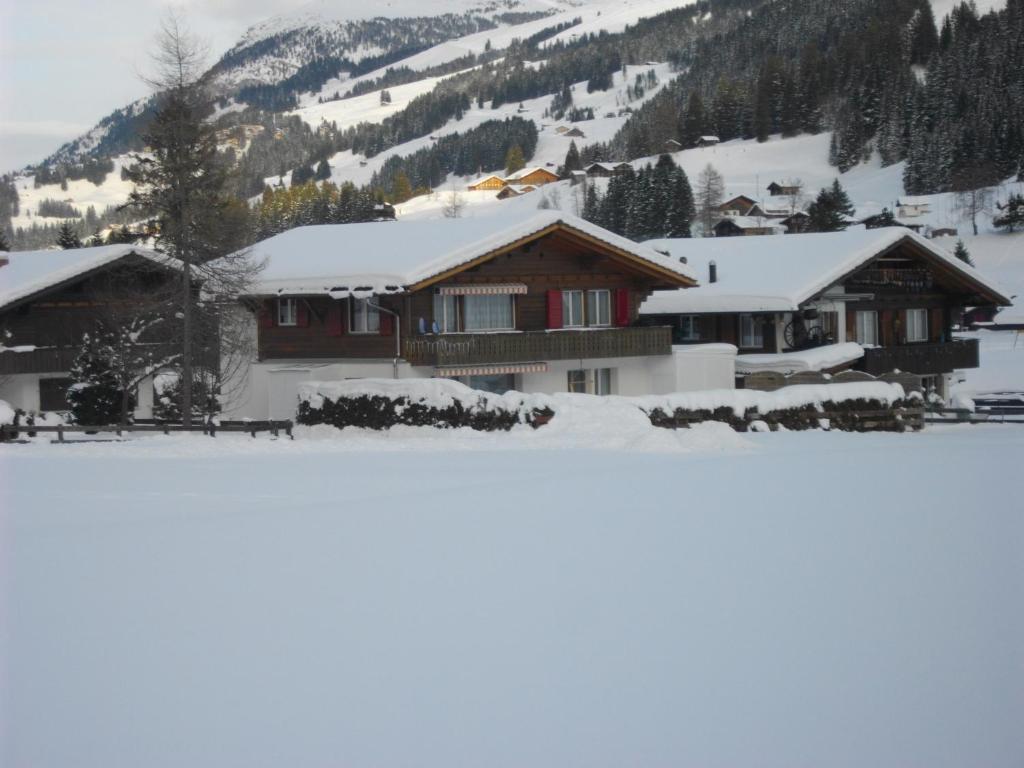 Chalet Aloa Apartment Adelboden Luaran gambar