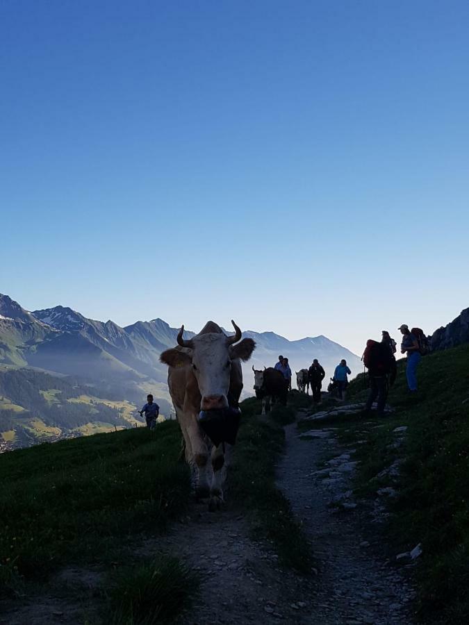 Chalet Aloa Apartment Adelboden Luaran gambar