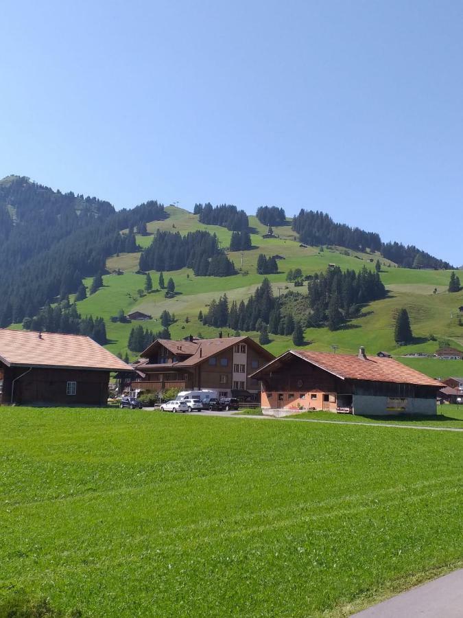 Chalet Aloa Apartment Adelboden Luaran gambar